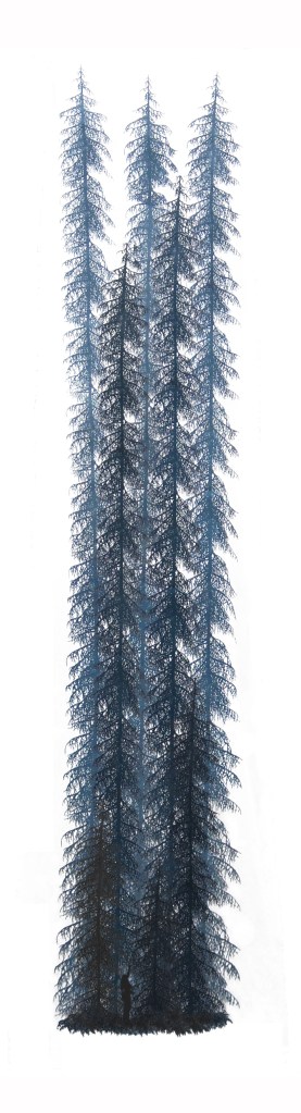 Nenning Diana - Urwald